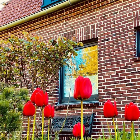 Nordapart Smutje Apartmán Butjadingen